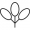 trifoliolate