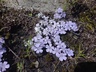 Array