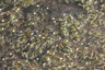 Array