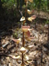 Array