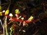 Array