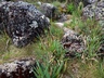 Array